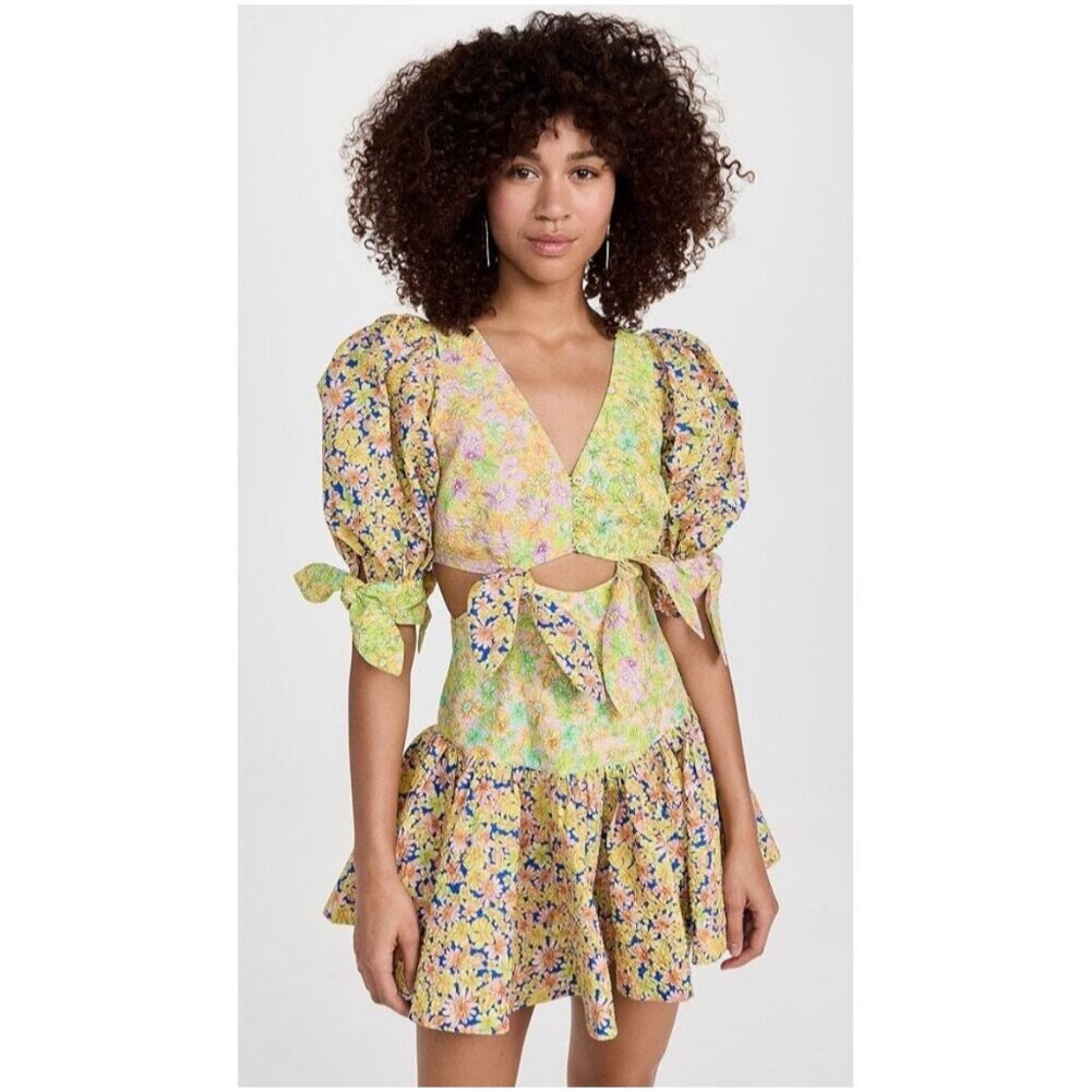 NWT Alemais Daisy Spliced Pattered Mini Dress Size 0